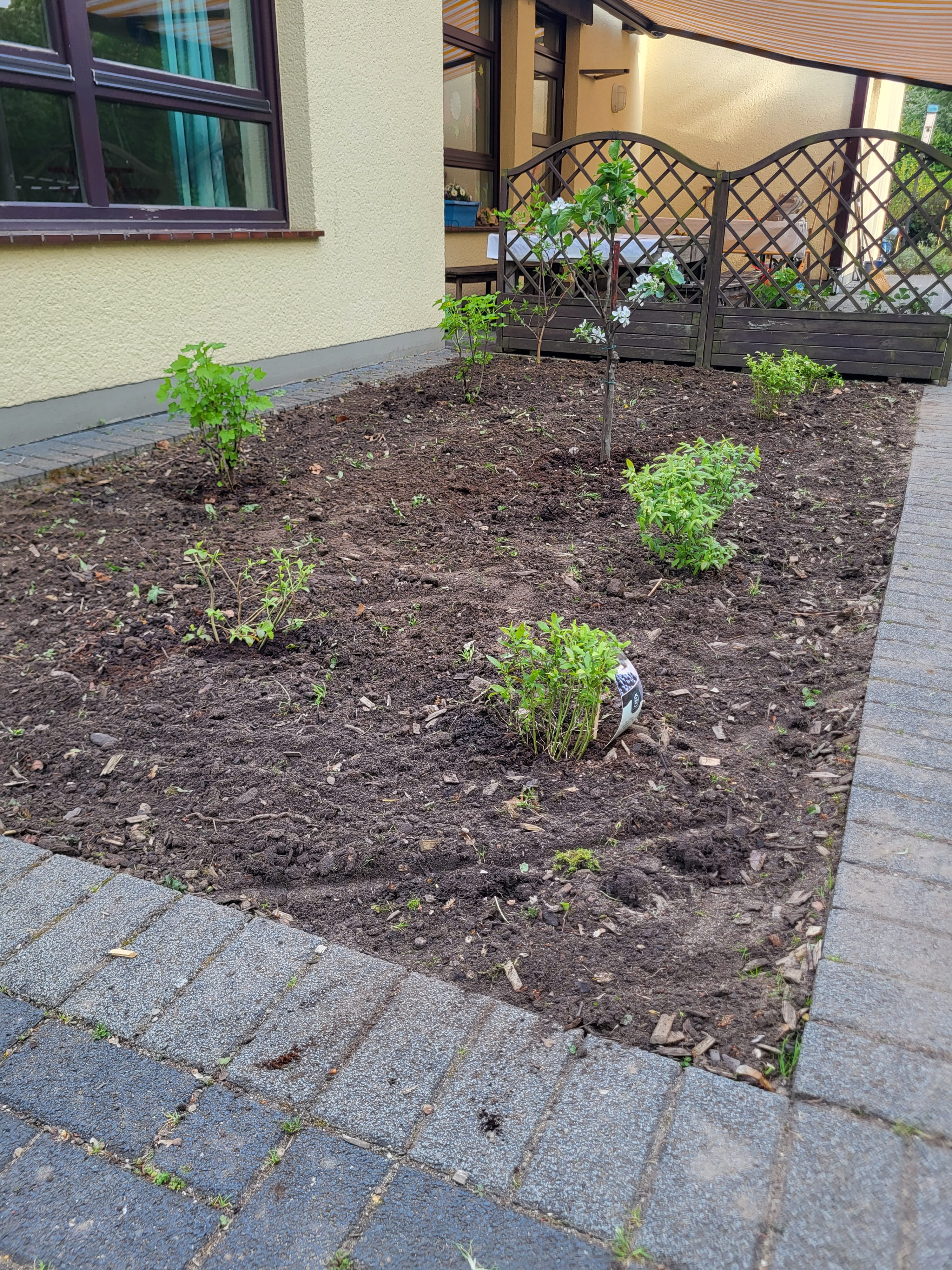 Frisch beflanztes Beet